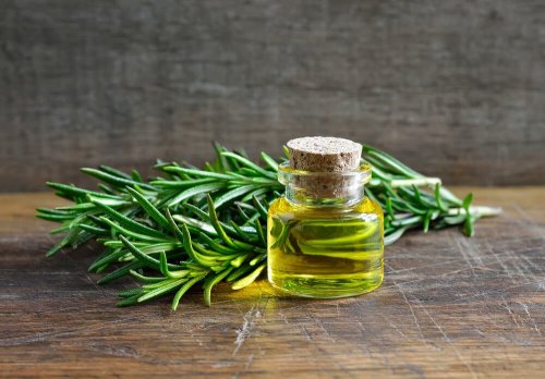 Il rosmarino: le sorprendenti proprietà e i suoi utilizzi