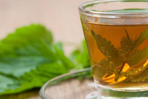 Infuso all'ortica