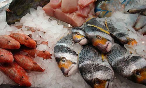 Come capire se il pesce è fresco?