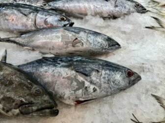 Come capire se il pesce è fresco?