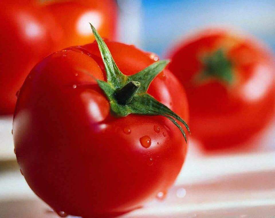 Pomodori per preparare il riso con pollo e verdure.