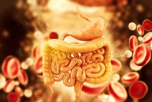 Disintossicare il colon con 5 infusi