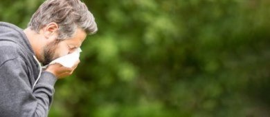 Infusioni per combattere le allergie