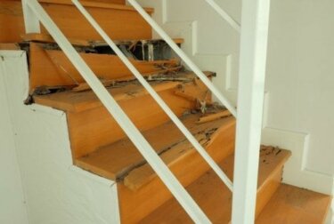 Come eliminare le termiti dalla casa