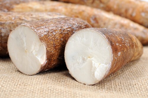 Yuca