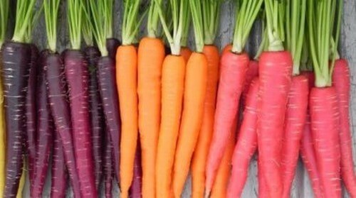 Le grandi proprietà della carota per la salute