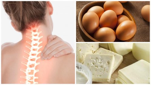 8 alimenti da includere nella dieta per rinforzare le ossa