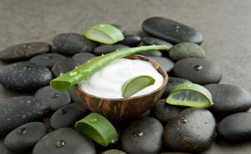 Aloe vera e olio di cocco