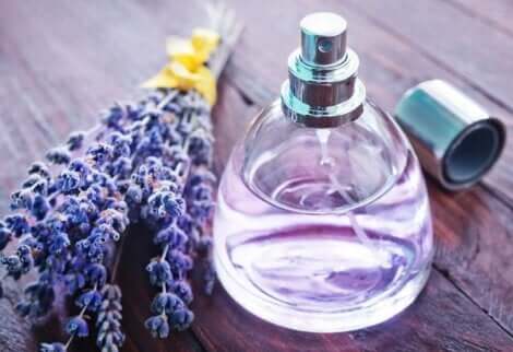 Boccetta di lavanda