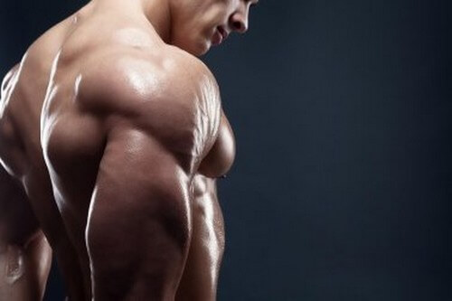 Colazioni per aumentare la massa muscolare Colazioni per aumentare la massa muscolare