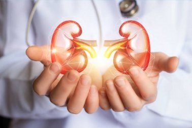 Disintossicare i reni: alimenti sì e no