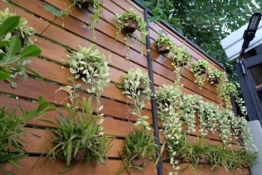 Giardino verticale: 4 fantastiche idee per arredare casa