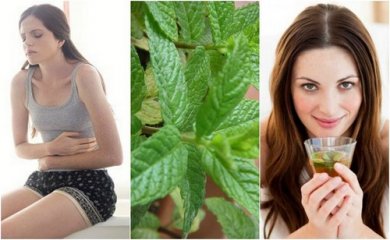 5 rimedi casalinghi a base di menta