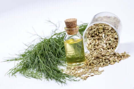 Olio di finocchio.