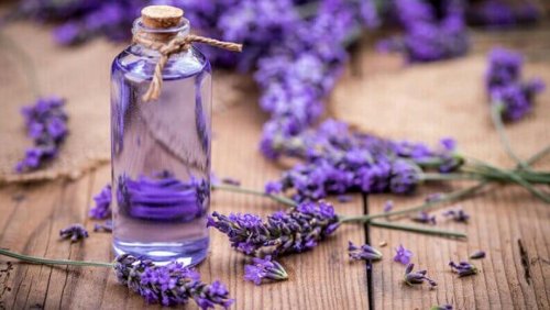 Lavanda contro i dolori cervicali