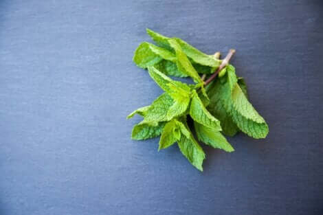 Maschera alla menta