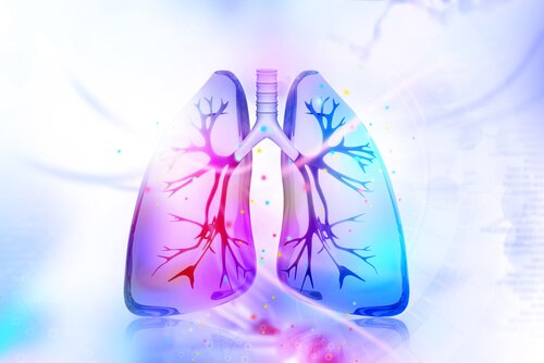 Disintossicare i polmoni con rimedi naturali