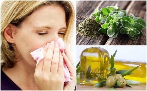 Origano e olio d’oliva per proteggere il sistema respiratorio