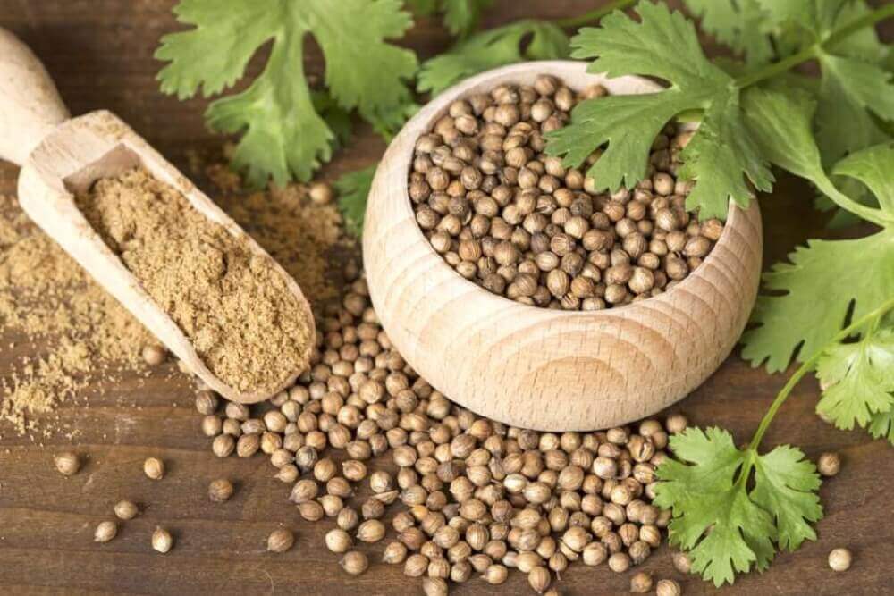 Semi di coriandolo interi e sbriciolati