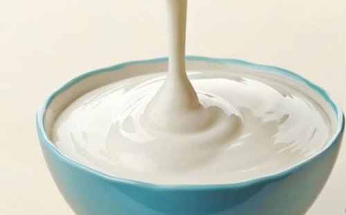 Tazza di yogurt greco