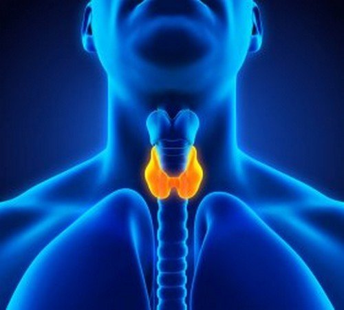 Trattamenti per la tiroide da fare in casa