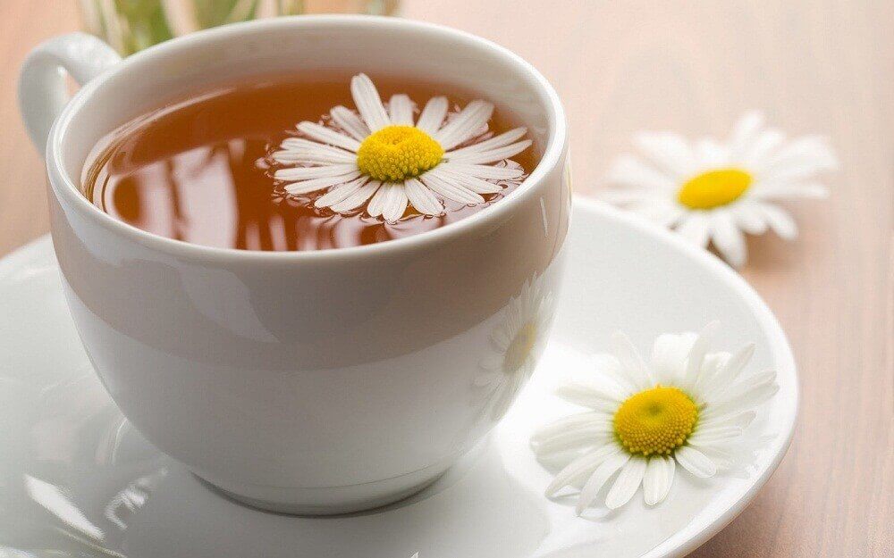 Camomilla nella tazza e fiori di camomilla 