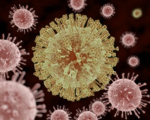 Virus