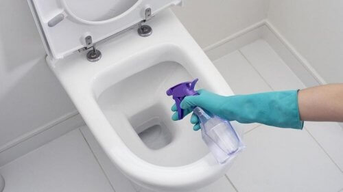 Aceto bianco per pulire il wc