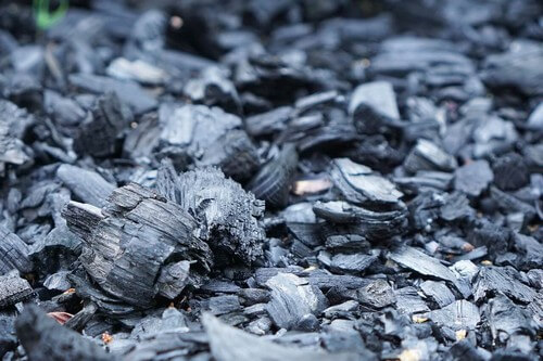 Il carbone vegetale.