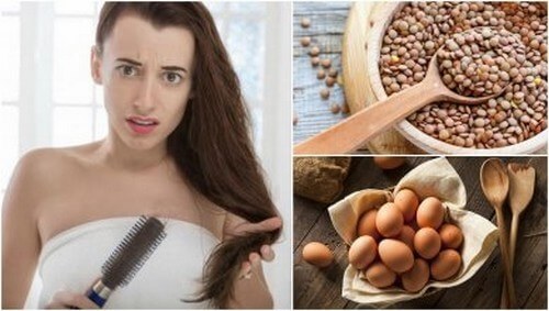 7 alimenti per combattere la caduta dei capelli