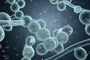 Alleviare i sintomi della candida: soluzioni naturali