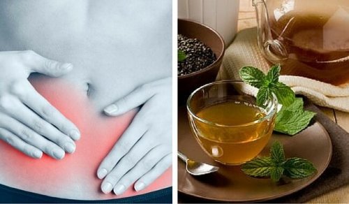 Infuso di boldo per trattare le infezioni urinarie