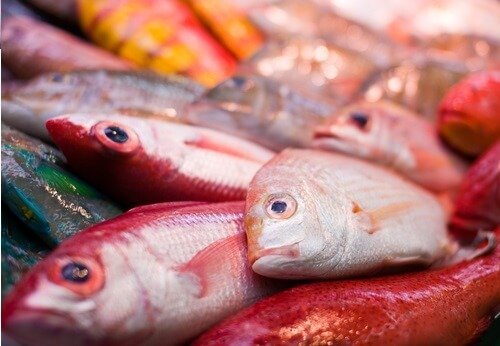 Mercurio nel pesce