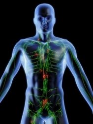 Depurare il sistema linfatico: rimedi a base di piante