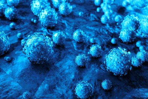 Virus del papilloma umano