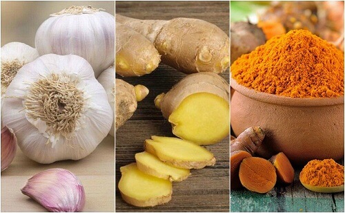 Antibiotici naturali per combattere le infezioni lievi