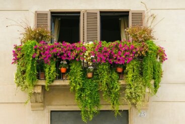 Mini giardini urbani per decorare il balcone