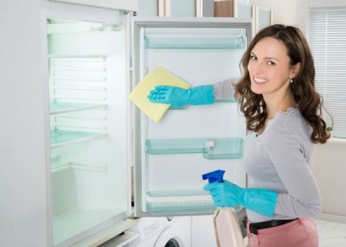 Donna che pulisce il frigorifero