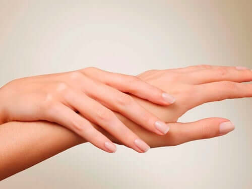 Filler mani
