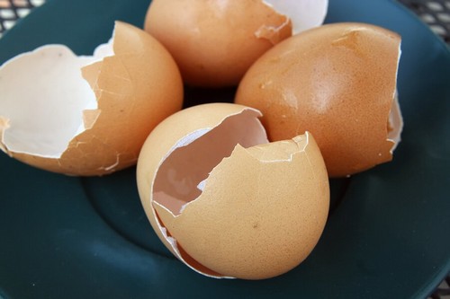 Gusci d'uovo: 6 modi per riutilizzarli