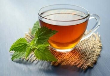 Prevenire i calcoli renali con le tisane alle erbe
