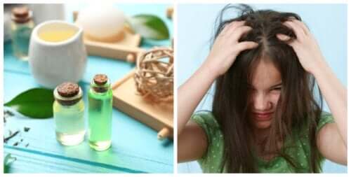 4 Rimedi A Base Di Aceto Per Combattere I Pidocchi In Modo Naturale Vivere Piu Sani