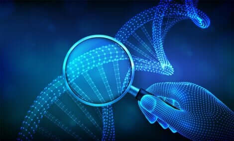 DNA gemelli monozigoti ed eterozigoti