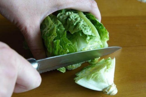 Tagliare la lattuga