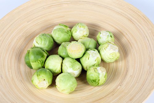 Rucetta dei cavoletti di Brusselles con crema di zucchine