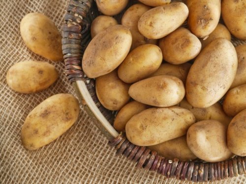 Cesto di patate