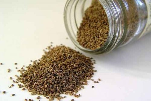 Benefici dei semi di sedano