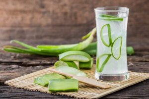 Migliorare la digestione con l’aloe vera
