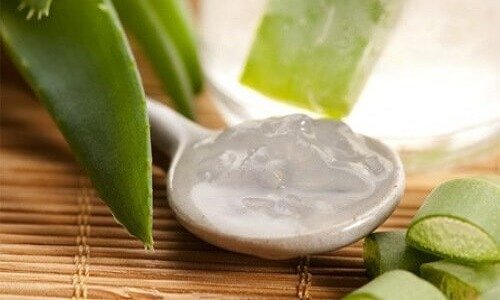 Gel di aloe vera