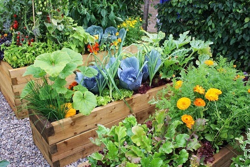 Decorare il giardino: 6 facili soluzioni